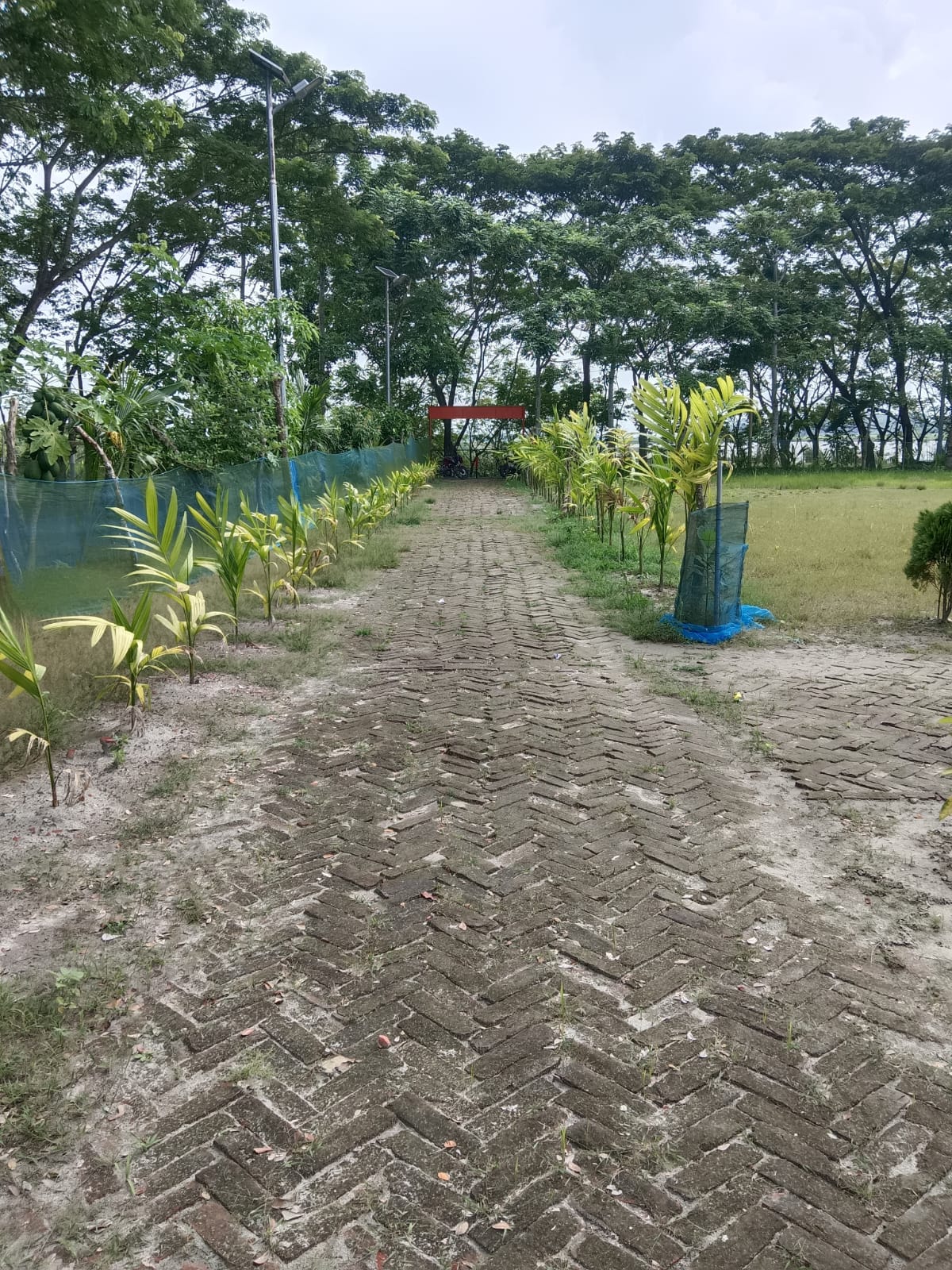 ar